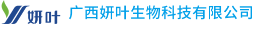 广州妍叶